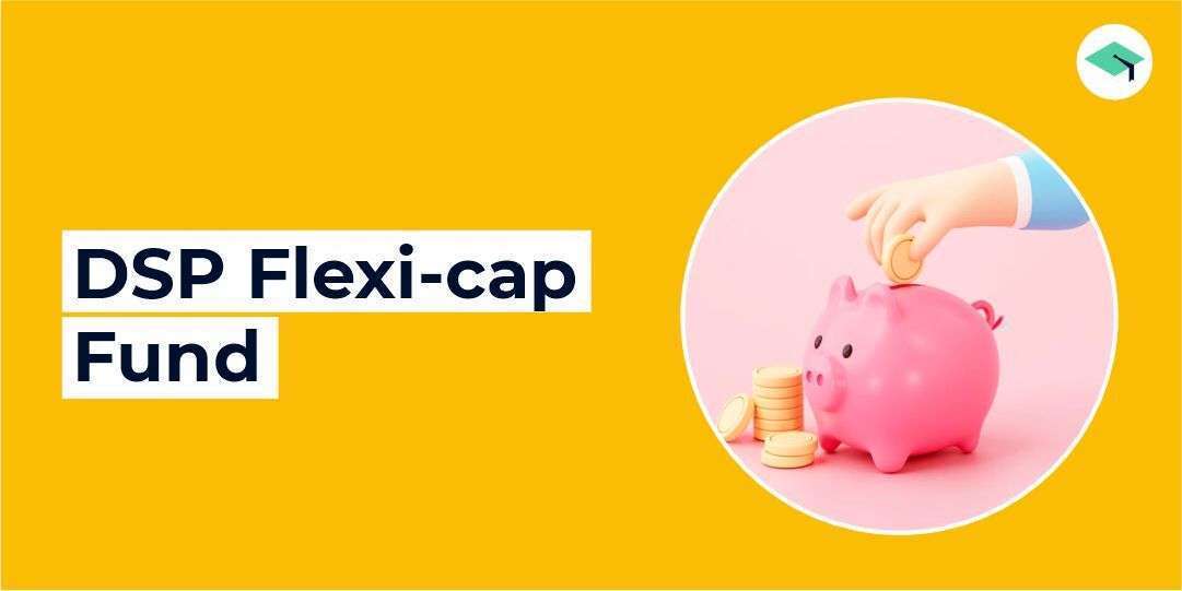 DSP Flexi-Cap Fund. Who should invest?