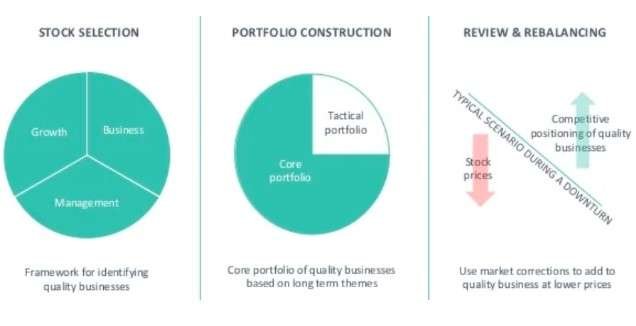 DSP-flexi-cap-investment-fund