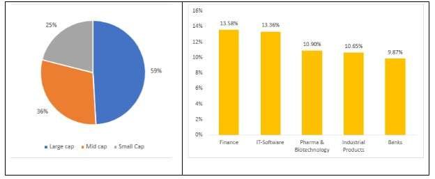 DSP Focus Fund Portfolio Composition