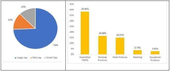 ICICI Pru Portfolio composition