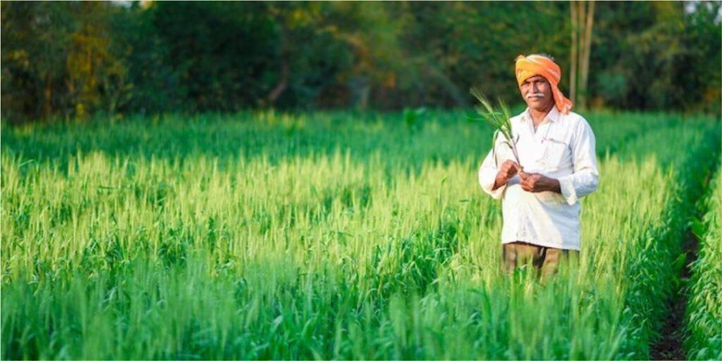 DSP World Agriculture Fund in India