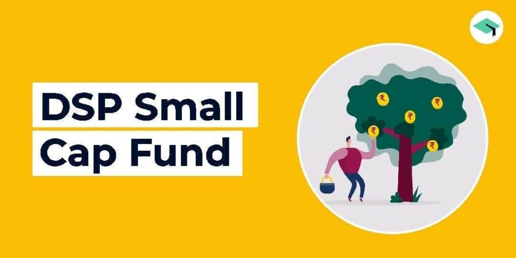 DSP Small Cap Fund