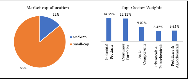 DSP small cap fund