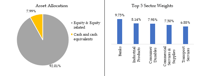 HDFC Small Cap Fund performance-portfolio-composition