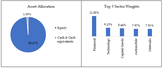 hdfc-multi-cap-fund-portfolio