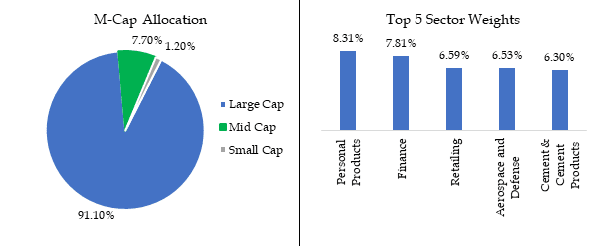 dsp-nifty-next-50-index-fund-portfolio