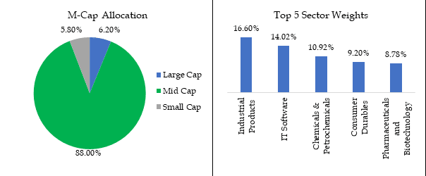 dsp-niftymidcap-150-quality-50-index-fund-portfolio-composition