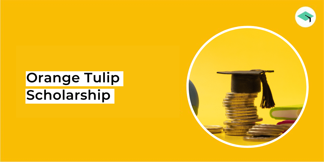 orange tulip scholarship